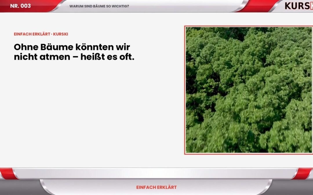 Warum sind Bäume so wichtig?