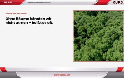 Warum sind Bäume so wichtig?