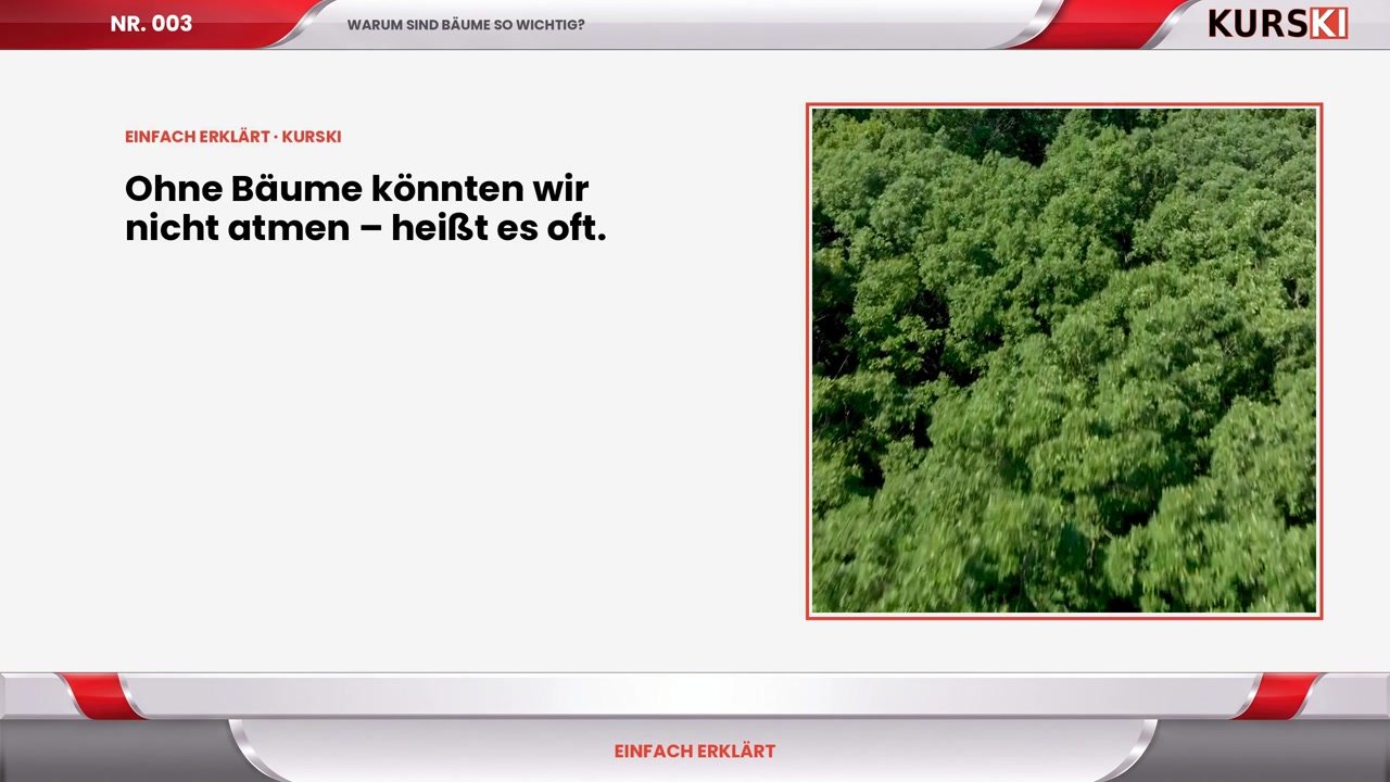 www.kurski.de-1790929023